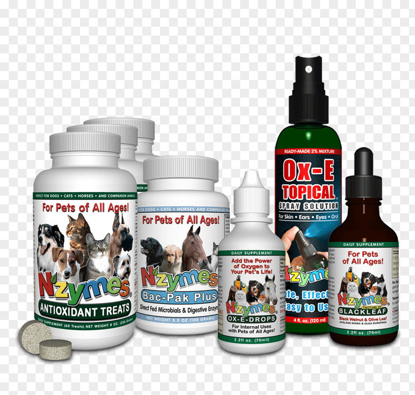 Dog Dietary Supplement Health Pet Human Feces PNG
