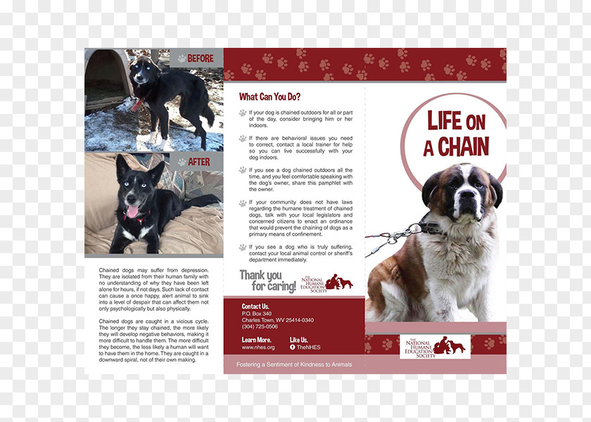 Dog Non-profit Organisation Breed Organization Advertising PNG