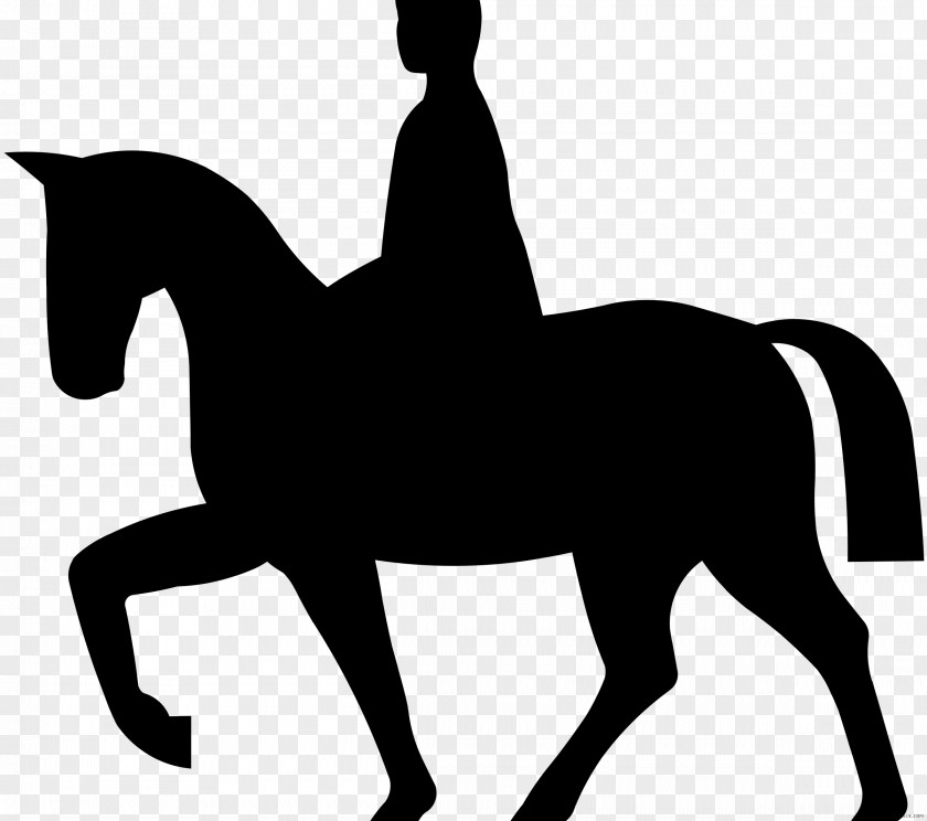 Horse Horse&Rider Equestrian Collection Clip Art PNG