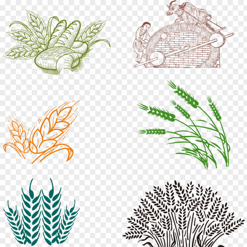 Wheat Bakery Common PNG