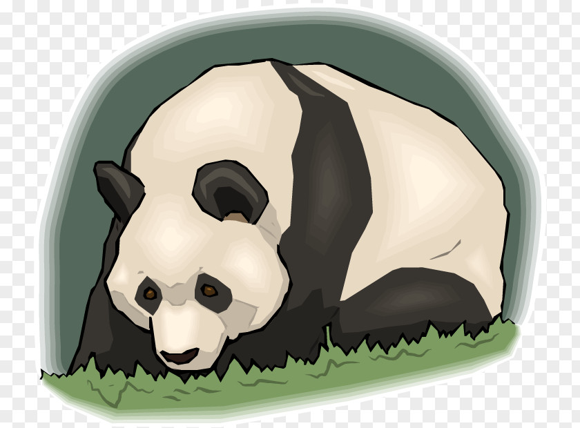 Bear Giant Panda Windows Metafile Drawing Clip Art PNG