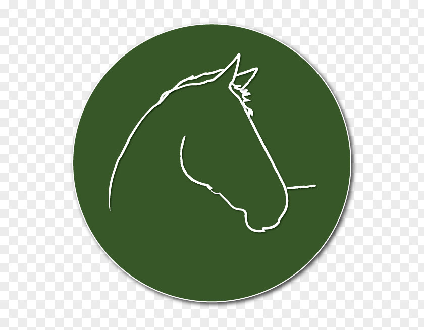 Circle Leaf Equestrian Font PNG