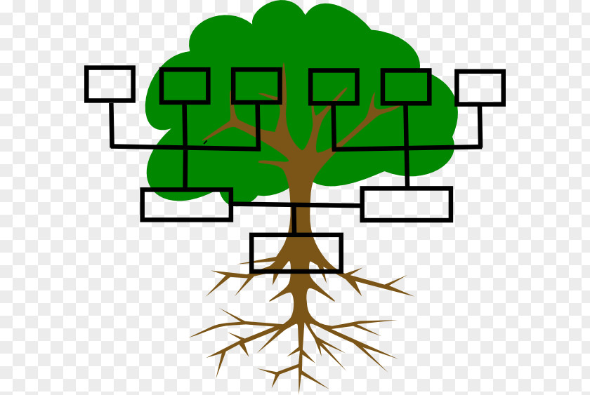 Family Line Cliparts Tree Genealogy Ancestor Clip Art PNG