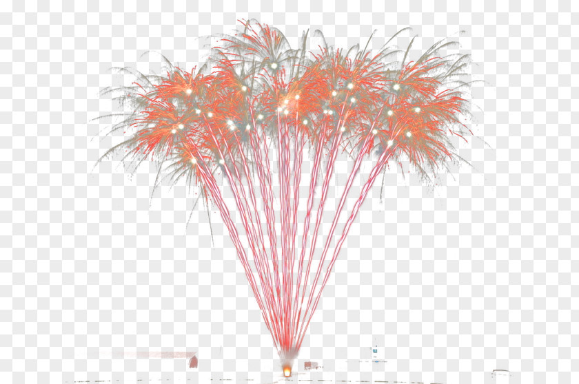 Fireworks Tree Petal PNG
