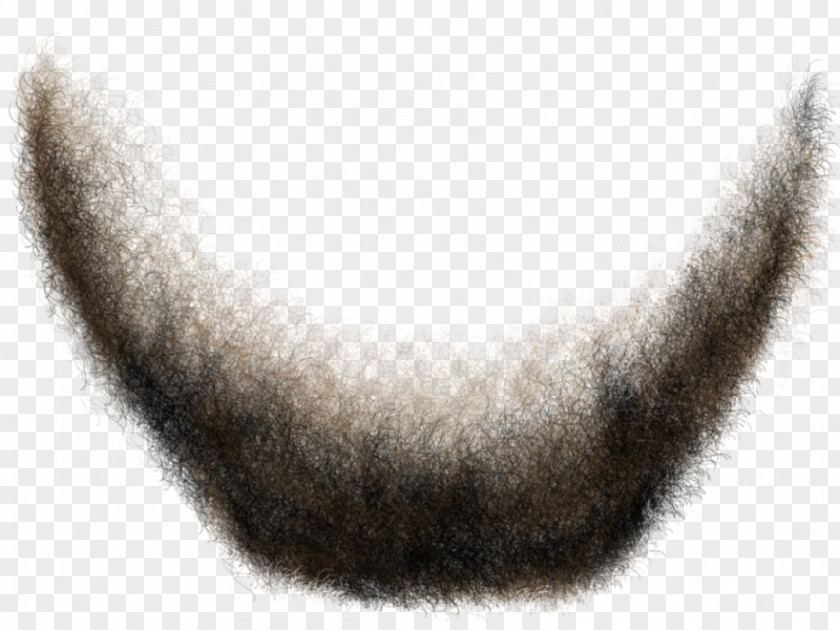 Hair Men Jaw Snout Tail Fur Close-up PNG