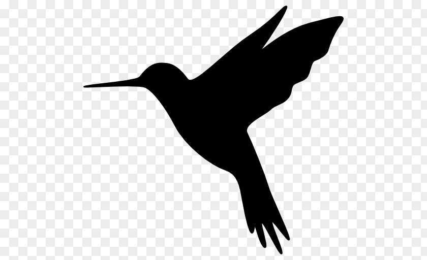 Hummingbird Amazon.com Sound PNG