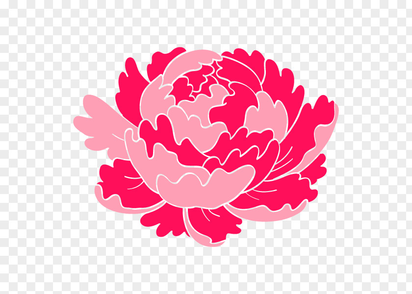 Illustration Peony Clip Art Rose Family Floral Design PNG