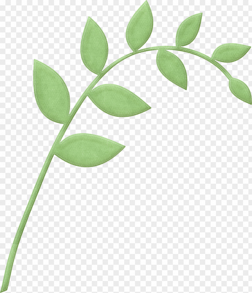 Pedicel Twig Tree Branch Silhouette PNG