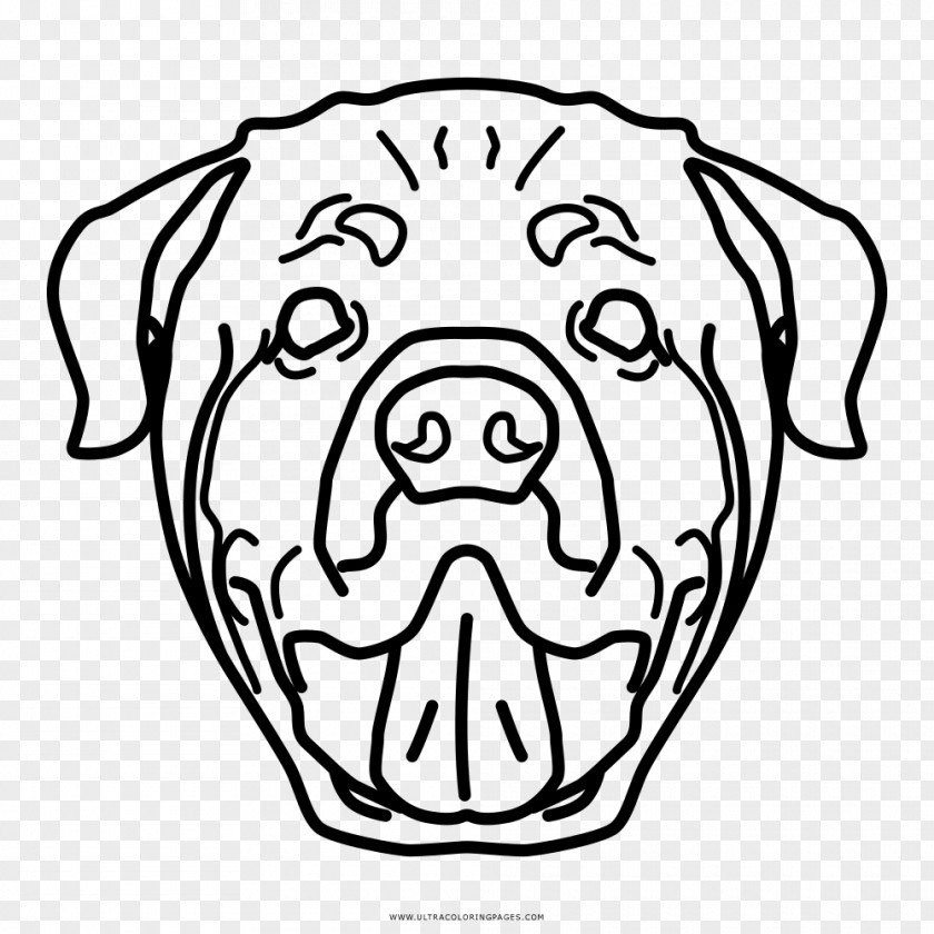 Puppy Dog Breed Rottweiler Snout Drawing PNG