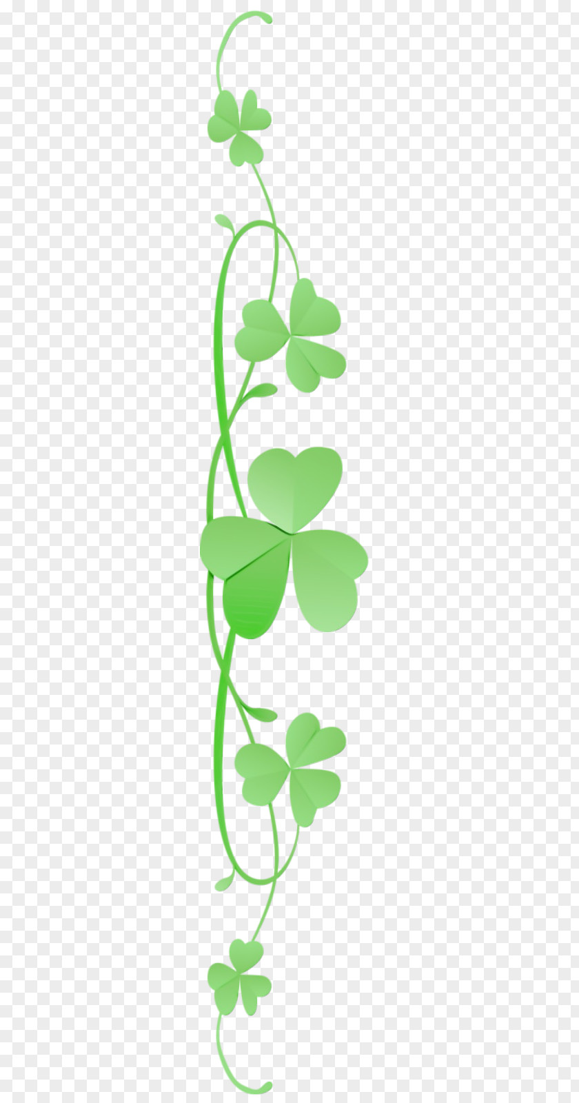 Shamrock PNG