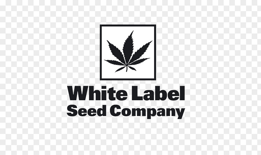 Skunk Autoflowering Cannabis White Widow Seed Bank PNG