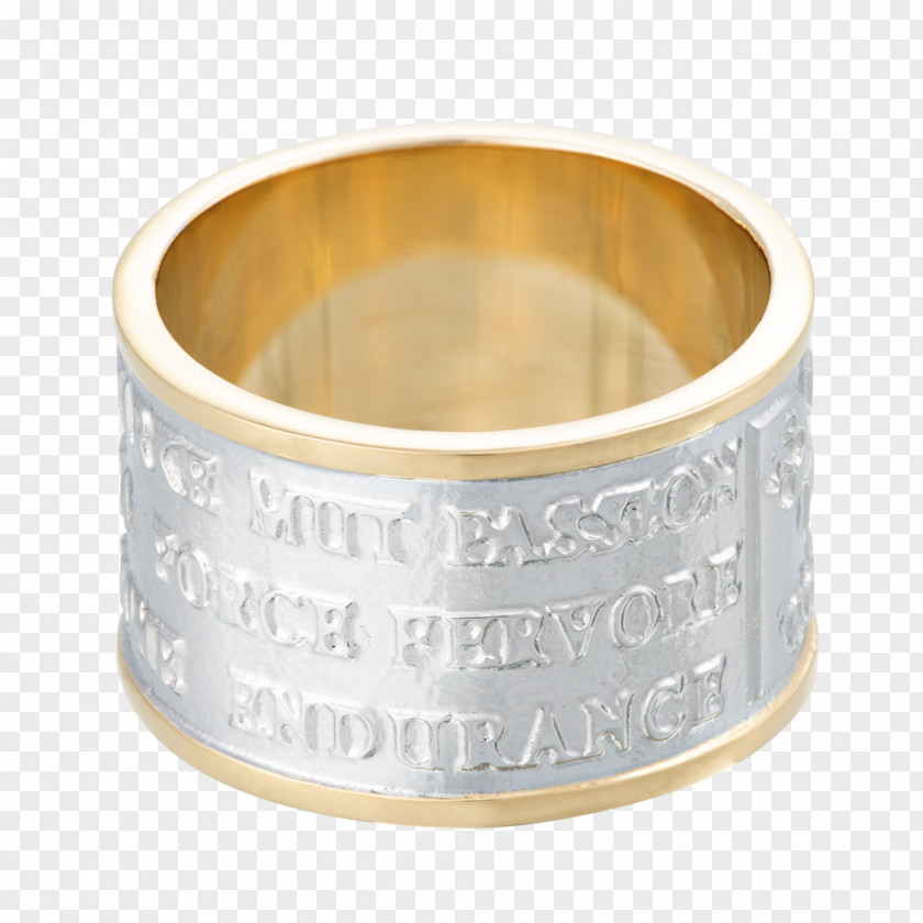 Special Collect Bangle Wedding Ring Silver PNG