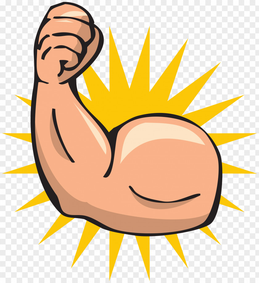 Strong Arm Biceps Muscle Clip Art PNG