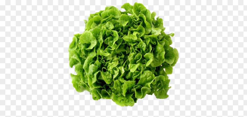 Vegetable Mesclun Leaf Food Fruit PNG