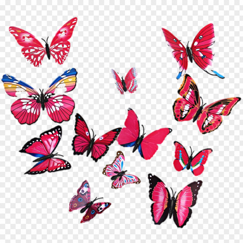 Butterfly Frame Wall Sticker Room Painting PNG