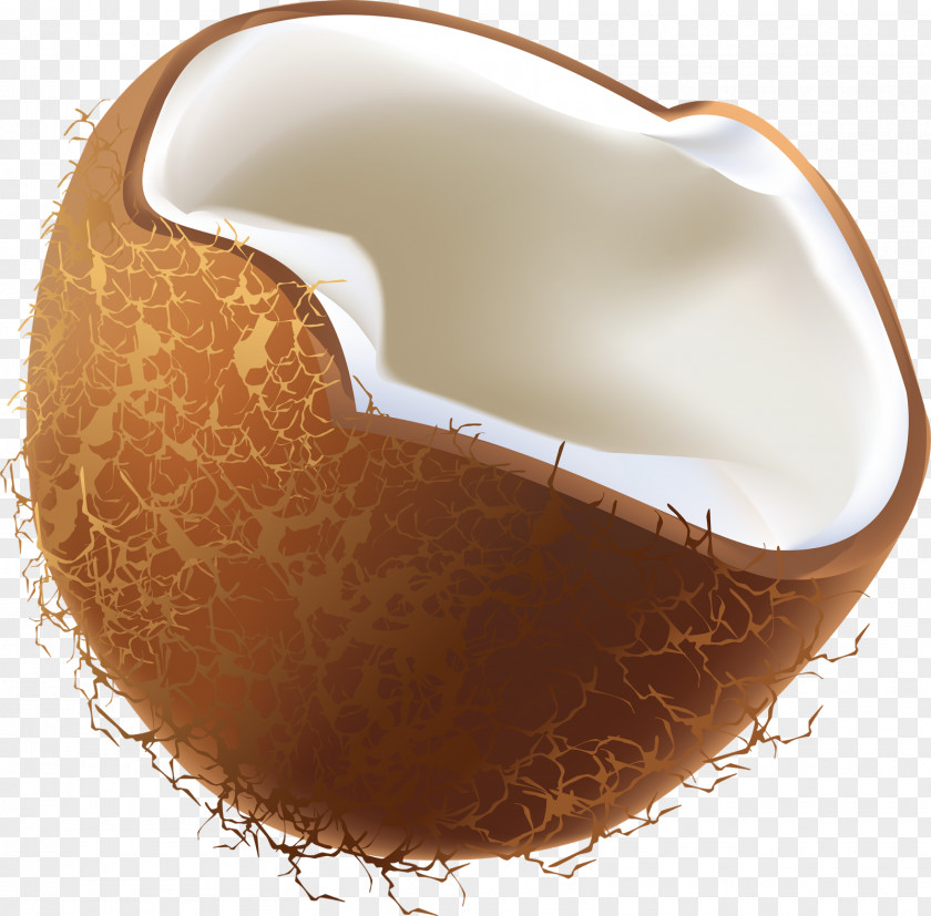 Coconut Clip Art Water Openclipart PNG
