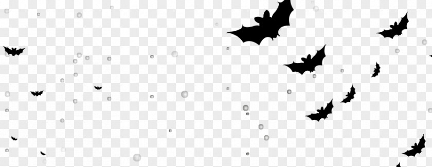 Halloween Bat Icon PNG