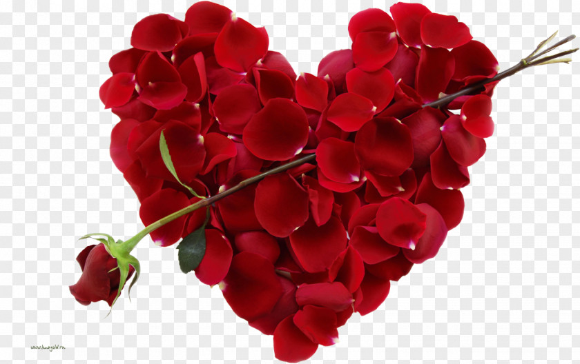 I Love You Valentine's Day February 14 Hallmark Holiday PNG