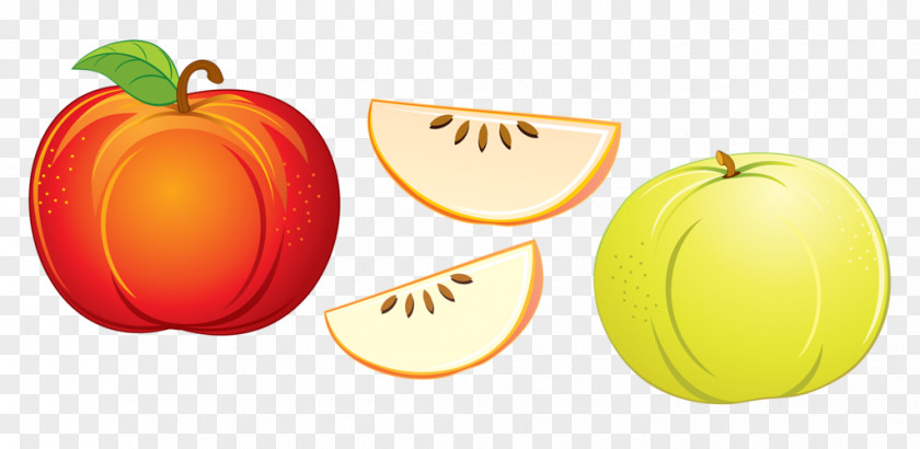 Red Melon Pumpkin Muskmelon Fruit PNG