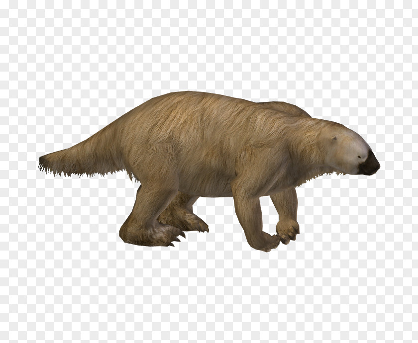 Sloth Zoo Tycoon 2 Hoffmann's Two-toed Ground Megalonyx PNG