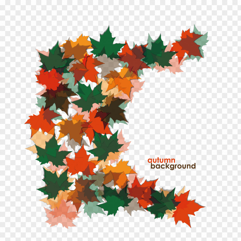 Vector Colored Leaves Maple Leaf Euclidean Clip Art PNG