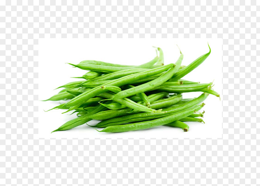 Vegetable Green Bean French Cuisine Leaf PNG
