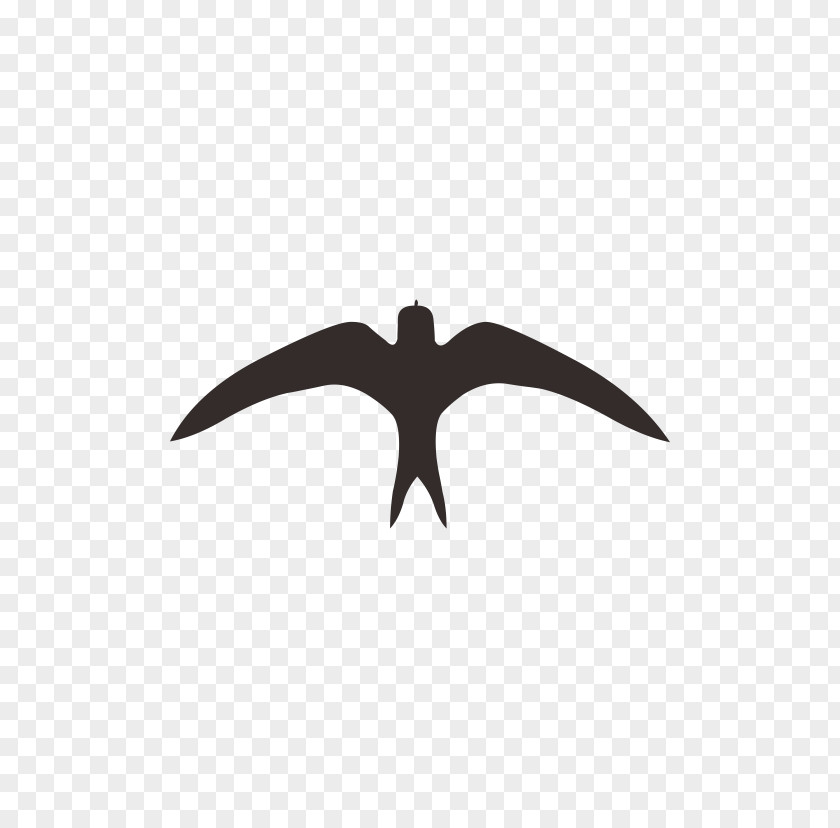 Birds Swallow Logo Black And White Pattern PNG