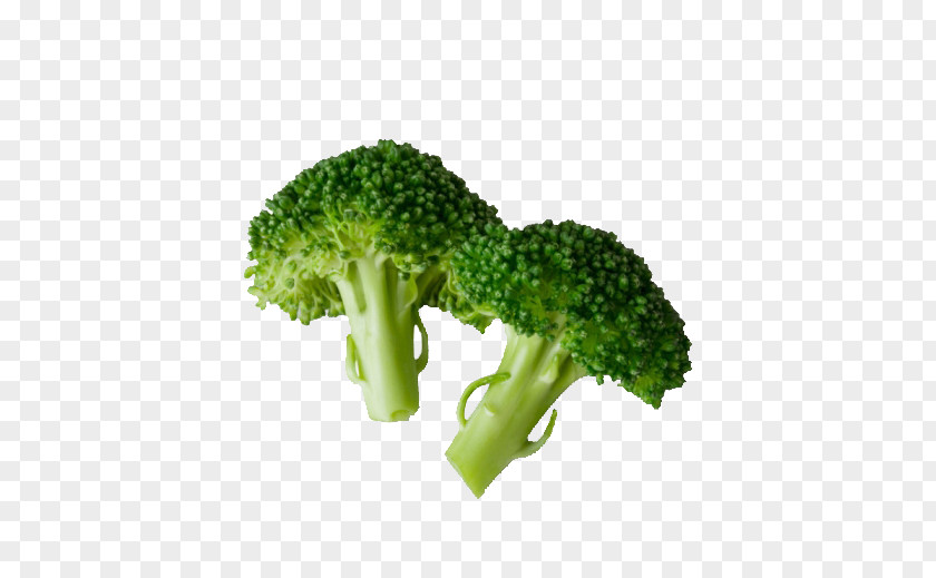 Broccoli Picture Material Organic Food Cauliflower Cabbage Vegetable PNG