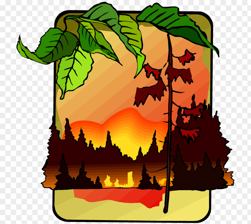 Fire Forest Tree Camel Bear Cat PNG