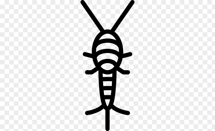 Insect Pest Silverfish Clip Art PNG