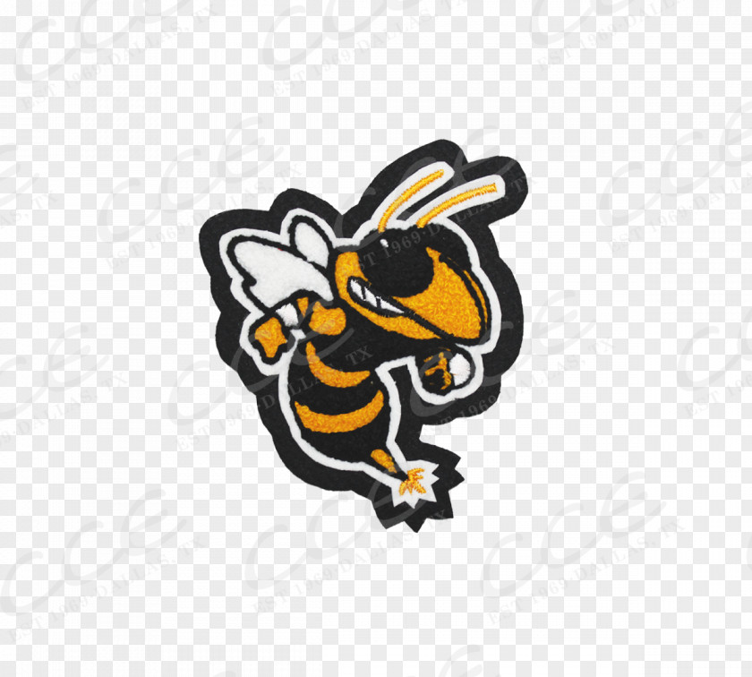 Insect Sticker Clip Art PNG
