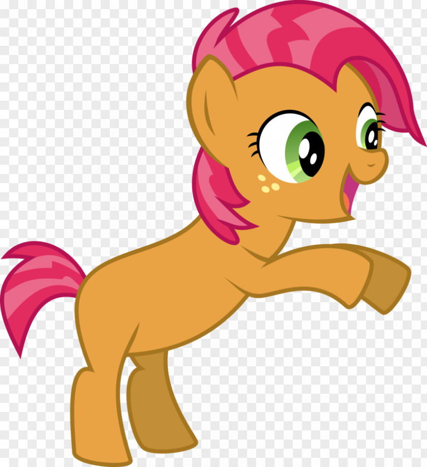 Little Pony Babs Seed Rainbow Dash Applejack PNG