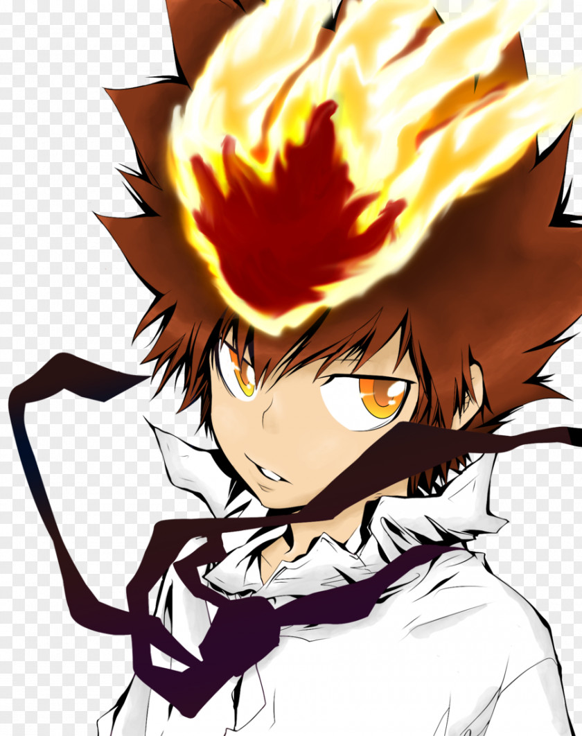 Reborn Tsunayoshi Sawada Mukuro Rokudo Reborn! Art Character PNG