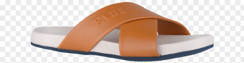 Sandal Shoe Brand PNG
