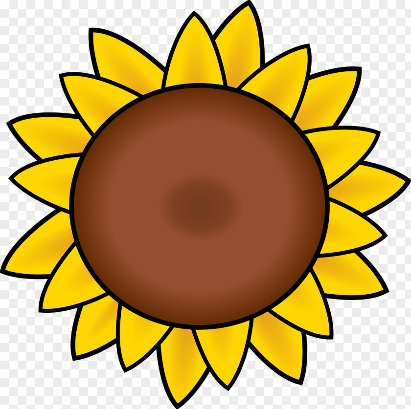 Sunflower Line Art Clip PNG