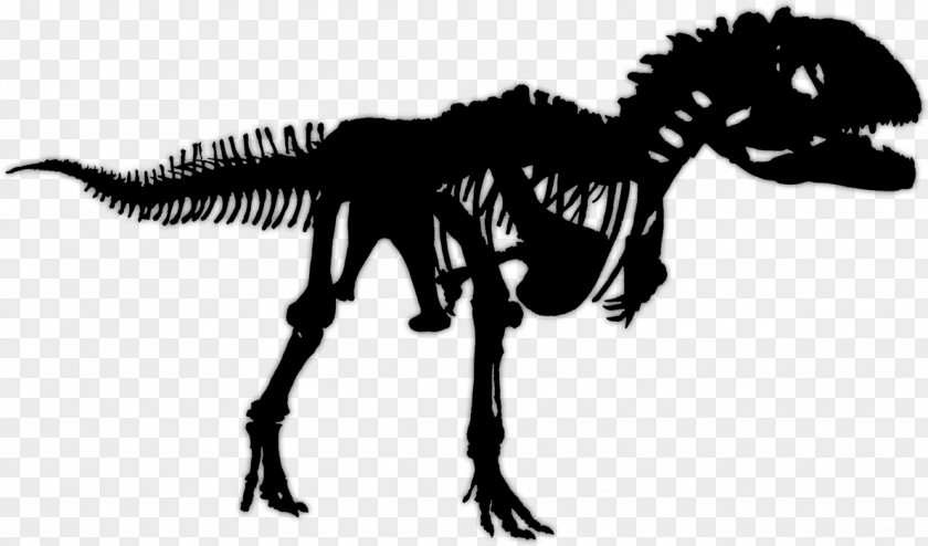 Tyrannosaurus Majungasaurus Velociraptor Saltasaurus Spinosaurus PNG