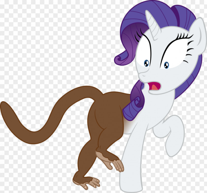 Cat Pony Scootaloo Horse PNG