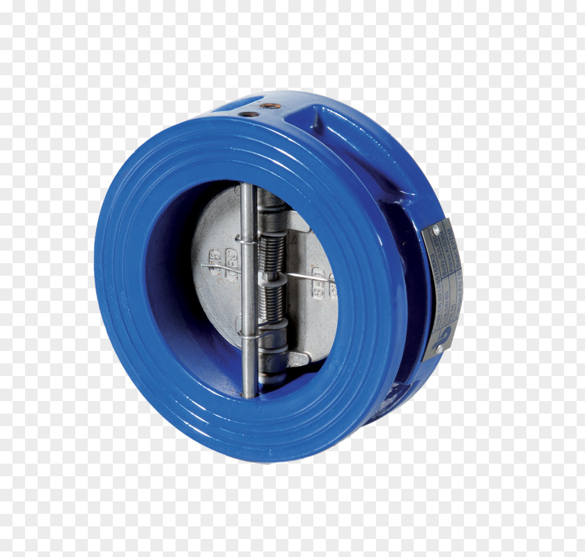 Check Valve Butterfly Flange PNG