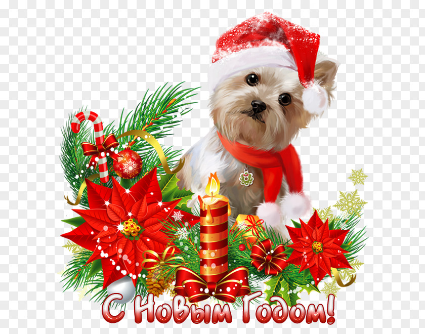 Christmas New Year Paper Ded Moroz 0 PNG