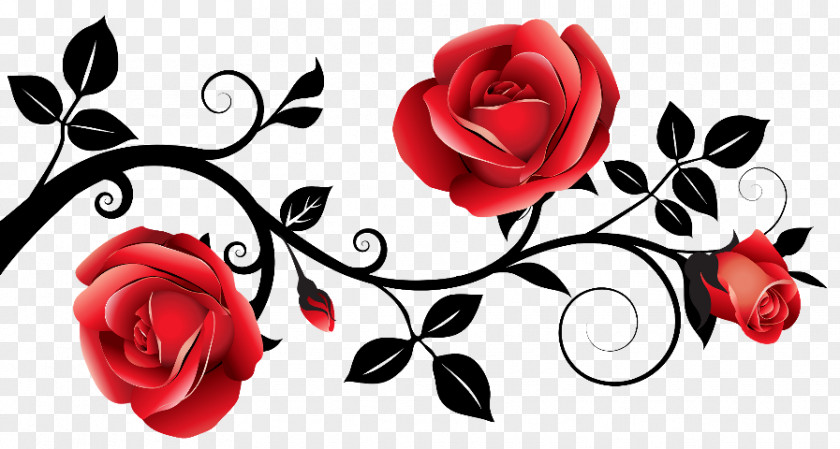 Rose Borders And Frames Red Clip Art PNG