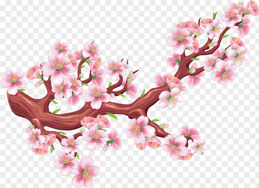 Hand-painted Watercolor Cherry Blossom Drawing Illustration PNG