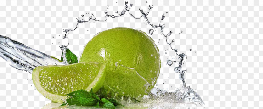 Lime Splash Transparent Background Advertising Agency Business Company Creativity PNG