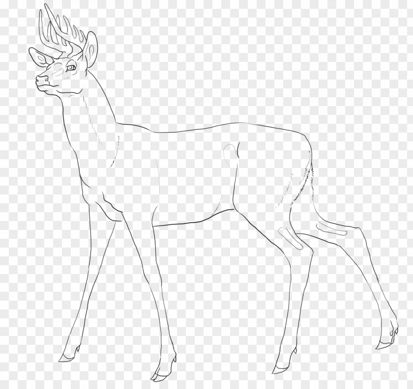 Reindeer Antelope Line Art White Pack Animal PNG