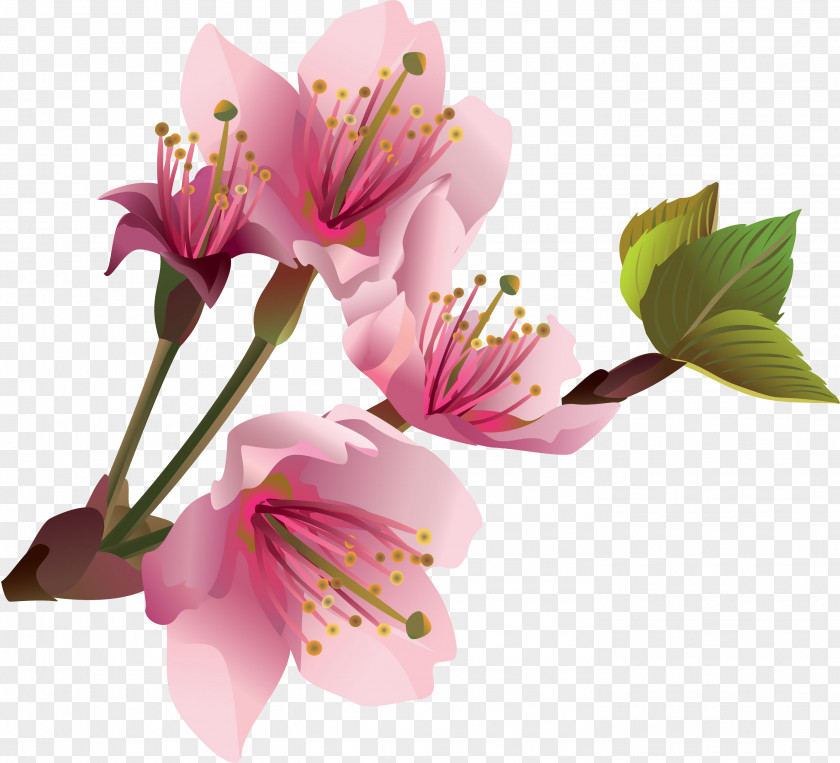 Spring Flower Desktop Wallpaper Clip Art PNG