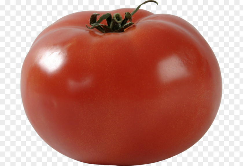 Tomato Plum Bush Food PNG