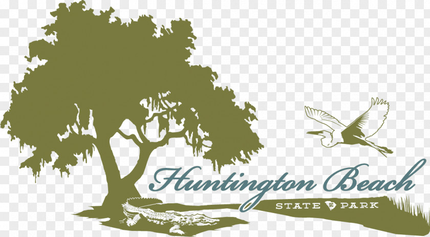 28 Pound Flag Of The United States Donation Huntington Beach State Park Tree Technicians Straw Tacksak PNG