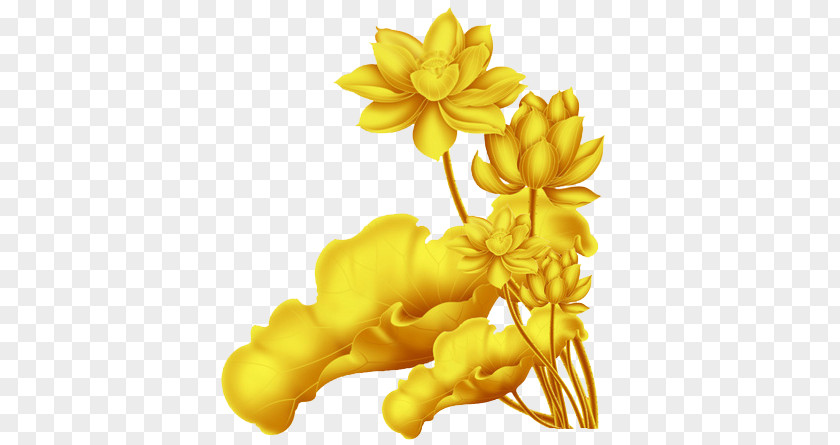 Cool Golden Lotus Nelumbo Nucifera Download PNG