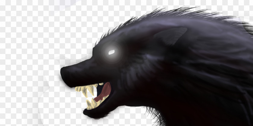 Dog Black Wolf Snout Fur DeviantArt PNG
