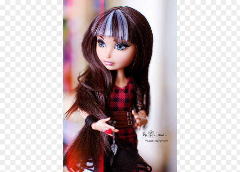 Doll Ever After High Barbie Shyrokyi Photography PNG
