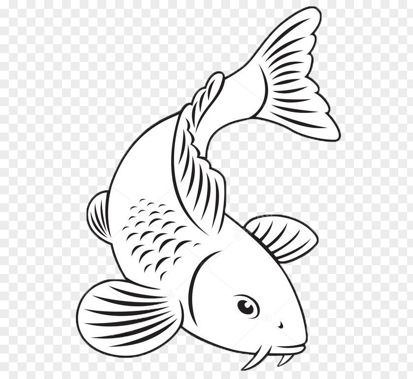 Fish Koi Goldfish Carp PNG